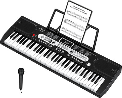 Electronic Keyboards Piano 61 Key, Portable Keyboards Piano with Microphone, Hol