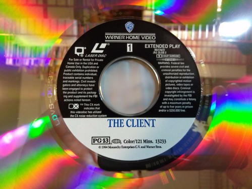 THE CLIENT Susan Sarandon, Tommy Lee Jones, Brad Renfro 1994 WB PG 13 LASERDISC - Picture 3 of 4
