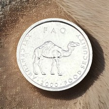 UNC 2000 Somalia 10 Shillings Camel FAO Coin #12025