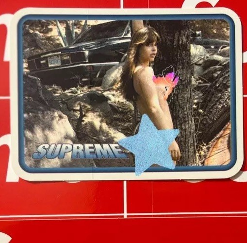 Supreme Larry Clark Girl Sticker SS17 Authentic Brand New Ships