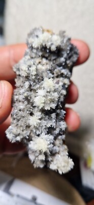 Mineral @ Aragonite On Garnets 8 cm Valle D'Aosta Italy 76 gr Crystals 