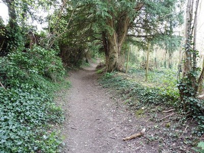Foto A3 The North Downs Way bei Kit's Coty Eccles \/TQ7360 c2016
