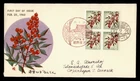 DR WHO 1962 JAPAN FDC PLANT BLOCK M81193