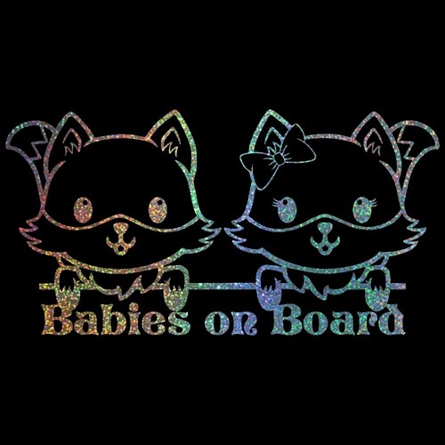 8.5" BABIES ON BOARD FOX v1 Vinyl Decal Sticker Car Laptop Baby Twins Boy Girl - Picture 24 of 31