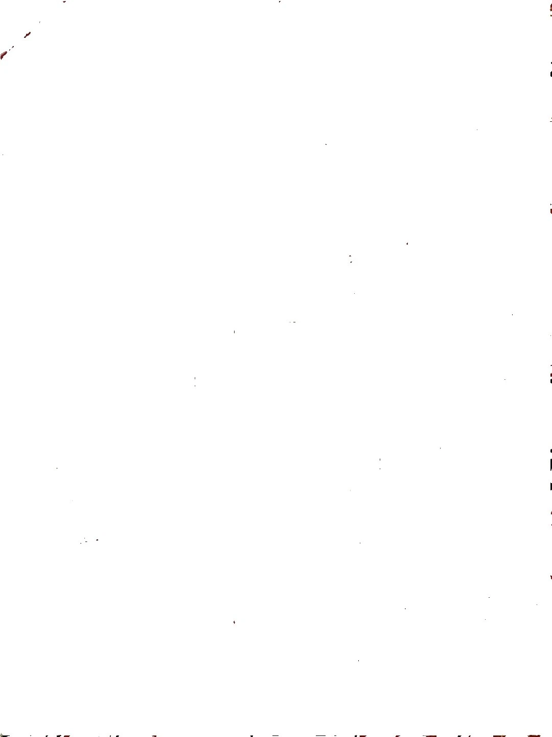 Cotton Light Craft Fabrics