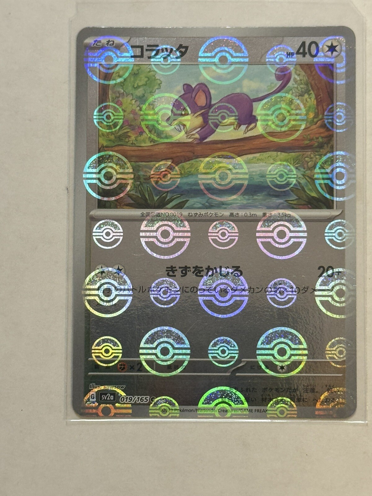 2023 Near Mint Pokemon Rattata 019/165 Reverse 151 SV2a Poke Ball