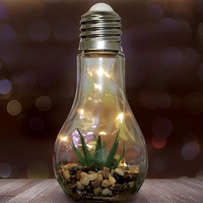 Succulent light bulb deals