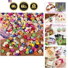Small Dried Flowers for Crafts Resin Jewelry Candles Soap 300pcs