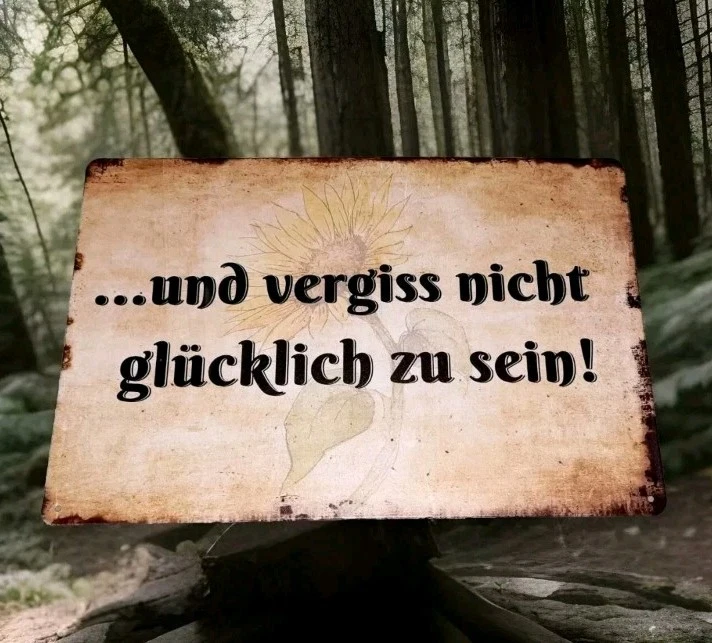 Blechschild Vergiss nicht glücklich Motivation Sonnenblume Spruch Geschenk (6) - Bild 1 von 1