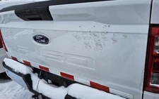 (LOCAL PICKUP ONLY) Trunk/Hatch/Tailgate Without Tailgate Step Fits 21-23 FORD F