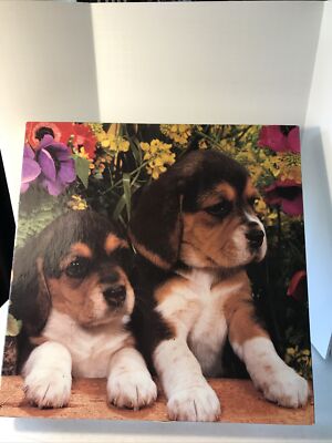 550 Pc Puzzle Beagle Buddies By Hie Products. 