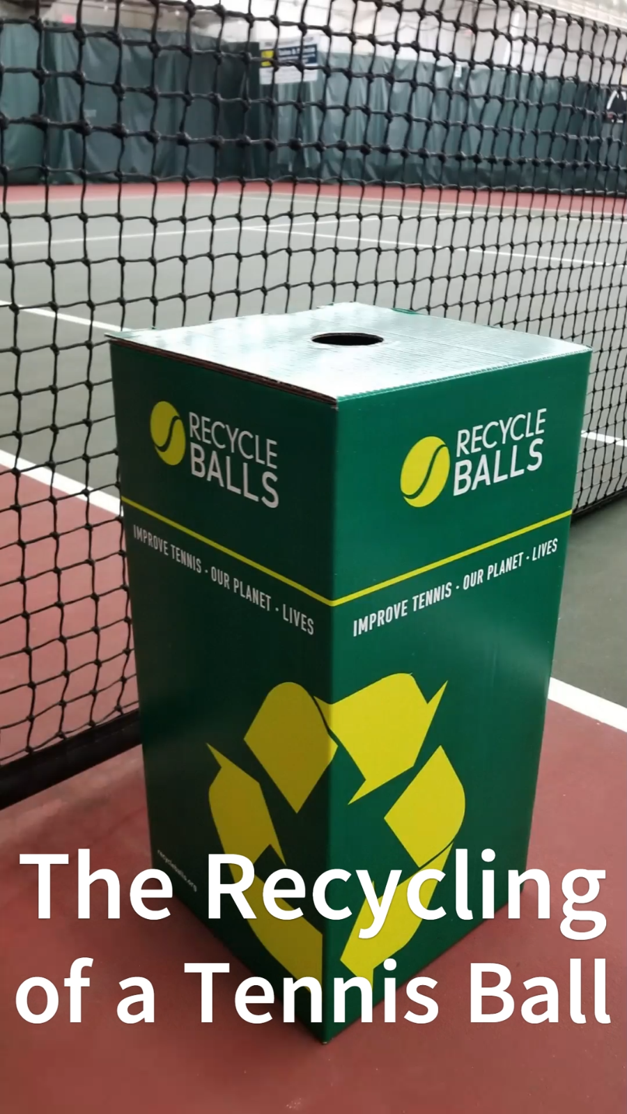 100 Lightly Used Tennis Balls FREE SHIPPING! eBay