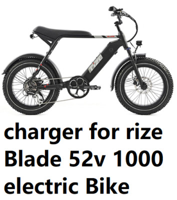  power adapter smart fast Charger for Rize Blade 52v 1000 