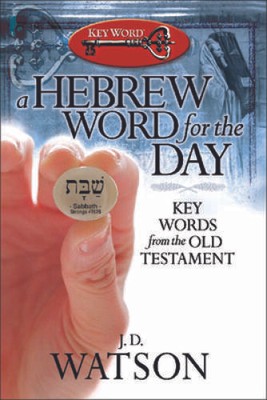 A Hebrew Word for the Day: Key Words from the Old Testament - Paperback - GOOD