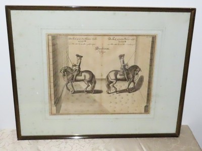 Kupferstich '' Reitschule Pferde'' William Cavendish Duke of Newcastle