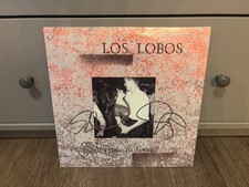 LOS LOBOS SIGNED AUTOGRAPHED LP VINYL X3 CESAR RAMOS IN PERSON (3)