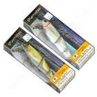 Foto 11 di 11