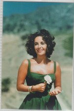 Movie Star -  Elizabeth Taylor Publicity Photo Re-Print 1960's  4x6 #1003**