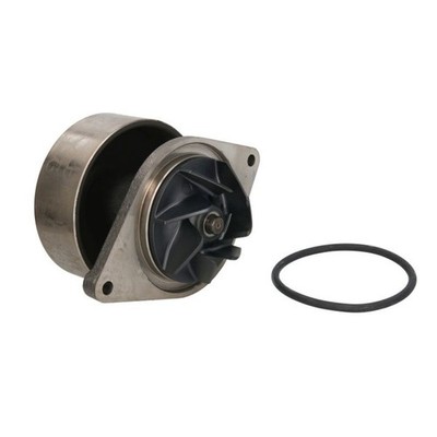 Kühlmittelpumpe OMP 201.125