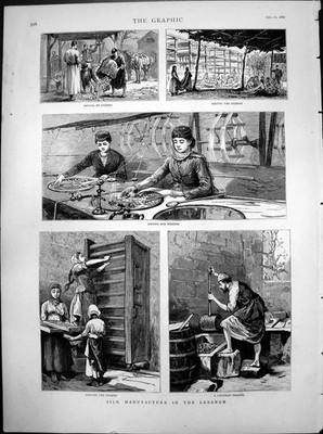 Antique Print Silk Manufacture Lebanon Arrival Cocoons Sorting Winding 1880