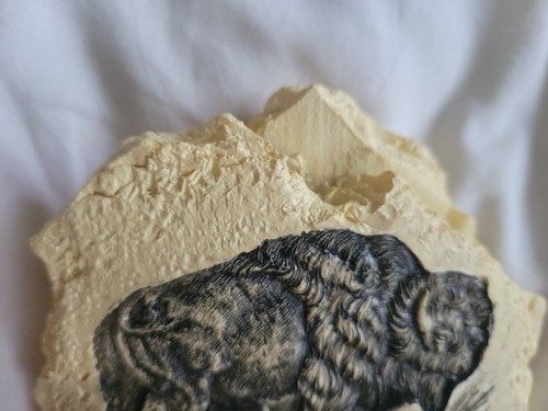 American Collection Buffalo Resin Stone Figurine Embossed 3.75" X 4.5" Garden - Picture 3 of 6