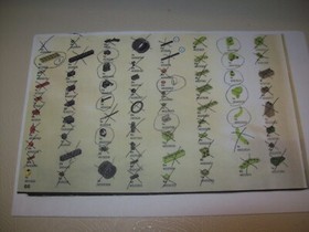 LEGO NINJAGO: Lasha's Bite Cycle (9447) INCOMPLETE SEE PICS FOR PIECES MISSING