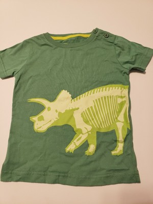 mini boden dinosaur shirt