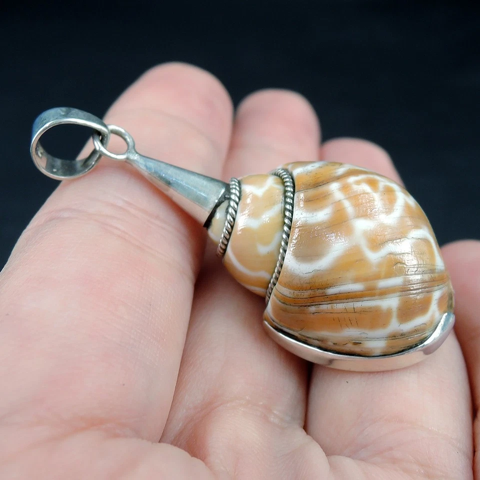 Ciondolo conchiglia a spirale marrone e bianco naturale in argento sterling... - Immagine 2 di 4