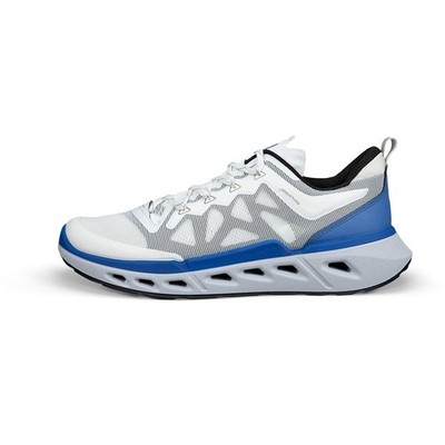 Ecco Biom 720 M Herren Sneaker
