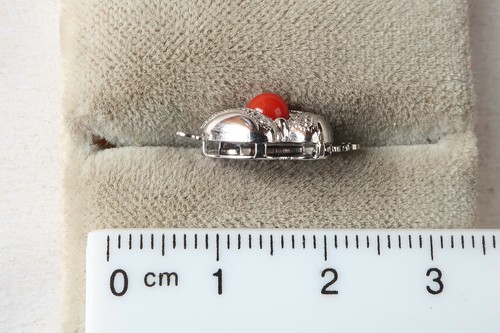 1 reihige Schließe, echte Koralle, Silber rhodiniert - Picture 3 of 4
