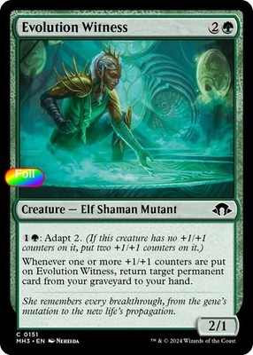 Foil Evolution Witness - 151 - NM - Modern Horizons 3