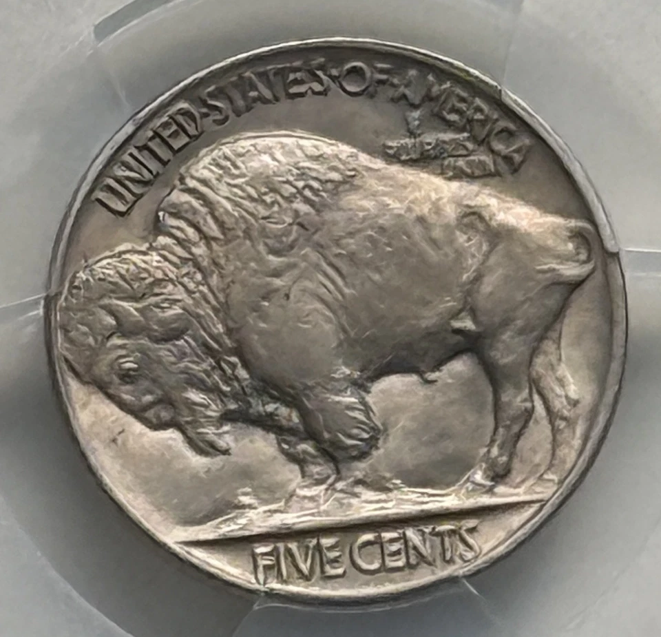Монета номиналом 5 центов 1926 с изображением буйвола — PCGS MS 62 - Изображение 4 из 4