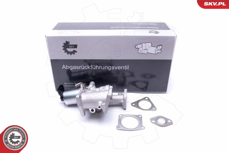 Fits SKV GERMANY 14SKV167 EGR VALVE 14SKV167 OPEL ASTRA G H COMBO COR ⭐UK Stock⭐