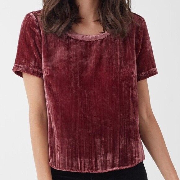 SPLENDID Moonstone Velvet Tee Shirt Top Ruby/Pink Short Sleeve Size SM $128 NWT | eBay