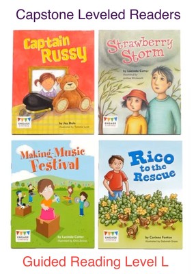 CAPSTONE Grade 2 * Guided Reading Level L * Leveled Readers Books Lot Homeschool