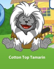 Webkinz Classic Cotton Top Tamarin Virtual Adoption Code Only MESSAGED