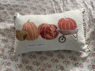 Next Pumpkin Cushion NEW