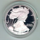2005-W U.S. SILVER AMERICAN EAGLE - KM#273 - ORIGINAL BOX, CASE & COA - PROOF