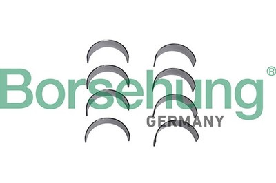 8x Pleuellager Borsehung B11330/8x für VW TIGUAN PASSAT CC B6 357 3C2 B7 362 6 3