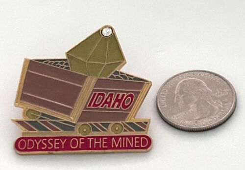 Vintage Odyssey of the Mind Idaho Diamond Mind Anstecknadel - Bild 2 von 3