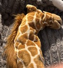  The Puppet Company Giraffe Puppet  — photo 3