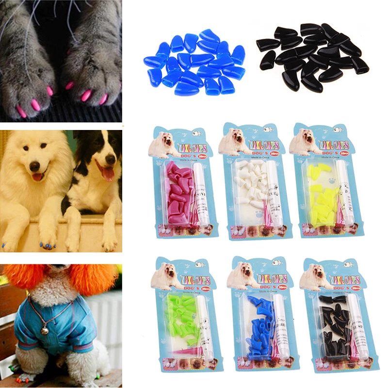 6 Month Supply - Purrdy Paws Purple Holo Glitter Soft Nail Caps for XXL Dog  Nails - Extra Adhesives - Walmart.com