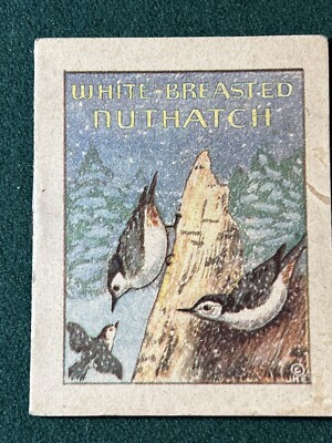 1941 Vintage Premium Cracker Jack Prize Bird Book by John H. Egger Nuthatch