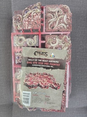 ** Dungeons & Lasers: Caves ** Evil Eye **NEU OVP * DnD * D&D * Pre-Painted