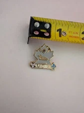 Pinback Lapel Pin Lions Club MDA Loon Trillium Canada Maple Leaf