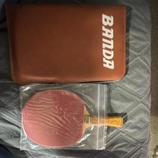 TSP Table Tennis Paddle with Protective Banda Case for Table Tennis