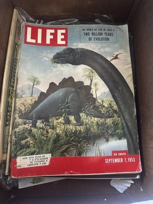 LIFE MAGAZINE SEPTEMBER 7, 1953 TWO BILLION YEARS OF EVOLUTION VERY GOOD