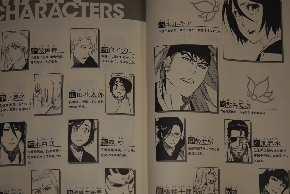 BLEACH WE DO knot ALWAYS LOVE YOU Japanese Novel Jump J Books
