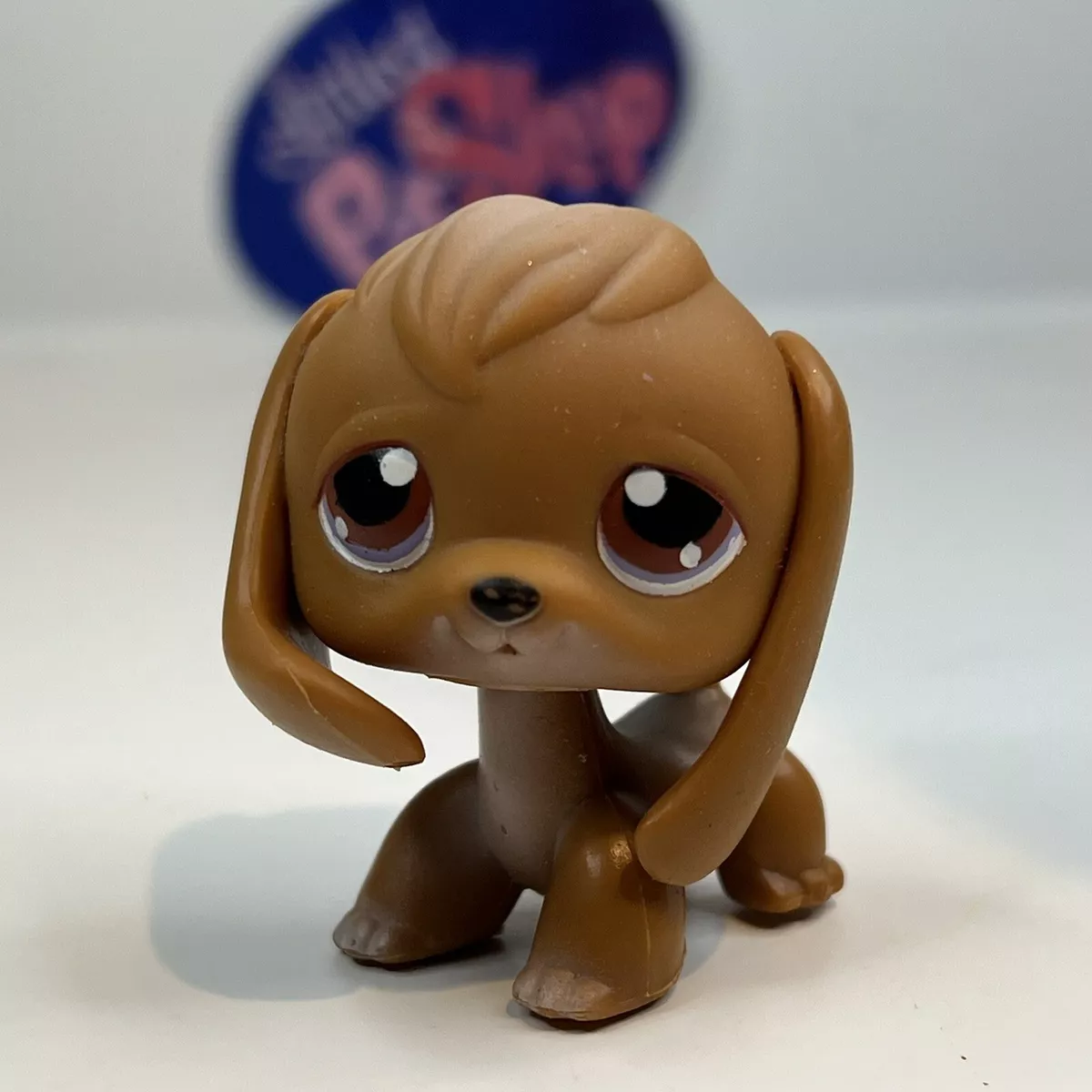 Beagle hotsell pet shop