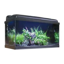 Aquarium Kit 60cm Tropical LED Fish Tank 54L Filter Heater Thermometer